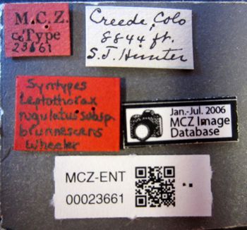 Media type: image;   Entomology 23661 Aspect: labels